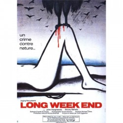 Affiche Long week-end