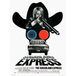 Affiche Sugarland express