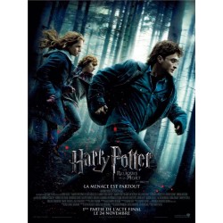 Affiche 55x40cm - Harry...