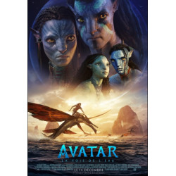 Affiche 55x40cm- Avatar 2...