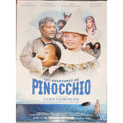 Affiche 55x40 cm - Les...
