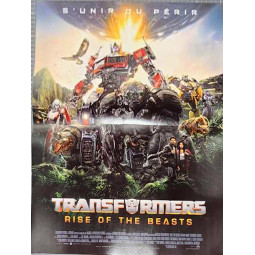 Affiche 55x40 cm -...