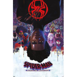 Affiche 55x40 cm -...