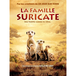 Affiche 120x160cm - la...