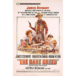 Affiche US Rancho Bravo